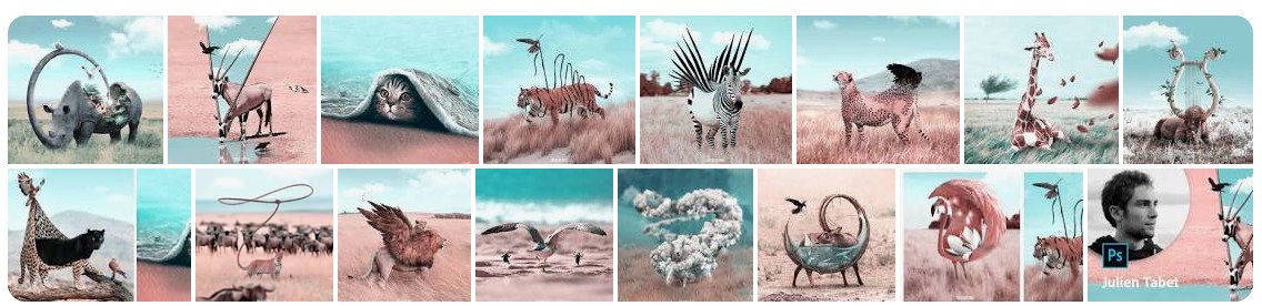 division euclidienne